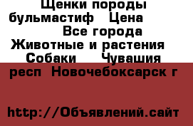 Щенки породы бульмастиф › Цена ­ 25 000 - Все города Животные и растения » Собаки   . Чувашия респ.,Новочебоксарск г.